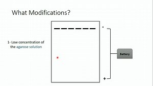 「Principle」DNA大片段分離，脈衝凝膠電泳PFGE「 Pulsed Field Gel Electrophoresis (PFGE)」