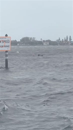12M views · 30K reactions | People abandon their boat Sept. 26 after it slipped its anchor and collided with the Cortez Bridge in rough weather associated with Hurricane Helene. The people swam to safety at the Seafood Shack in Cortez. Islander Video: Courtesy Capt. Will Osborn | The Islander | Facebook