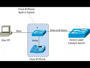 Voice VLAN Configuration on Cisco Switches | Step-by-Step