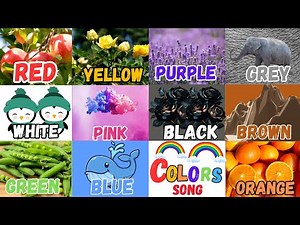 Color Song For Kids And Toddlers | Learn Colours Names | #ColorSong | #LearnColors |Learn Vocabulary