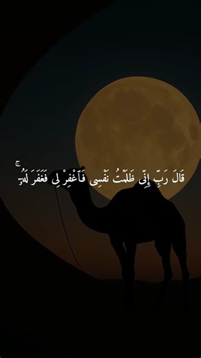 قال ربي إني ظلمت نفسي فاغفر لي فغفر له #ريحانة_قرآن #ماهر_المعيقلي #تلاوة_خاشعة #قرآن #quran #المصحف