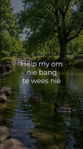 Daaglikse gebed #afrikaanschristelik #afrikaansshorts #oggendgebed #stiltetyd