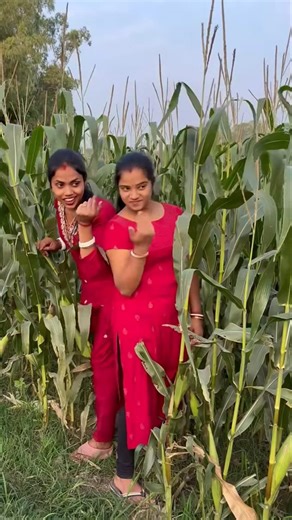 A disabled duckling helps his cat friend 5624🐥#duckrescue #cuteanimals #animalrescue