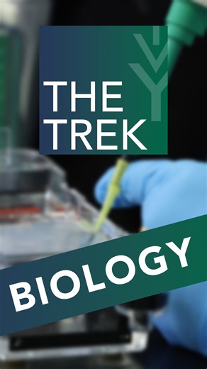 On this episode of The Trek, partnered with Ivy Tech Community College and Ivy Tech Community College Kokomo Region, we check out the cutting-edge science happening at campuses throughout Indiana. Today, Dr. Bobbs walks Erin through DNA and protein analysis, the exact methods used by crime scene investigators today. Do you think this incredible field is right for you? You can find out more about this and the 70+ other majors at Ivy Tech at ivytech.edu/thetrek. | The Kokomo Post | Facebook