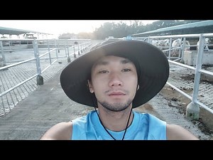 My One Month Journey to a Cattle Farm in Abra