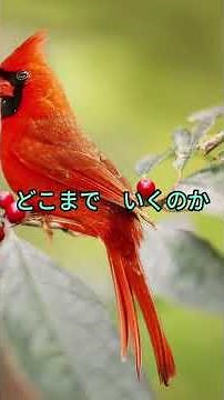構音障害トレーニング(音階練習)