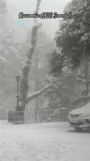 Mussoorie Today = Storm + Snowfall (Unbelievable!) 😳 #shorts #mussorrie #snowfall
