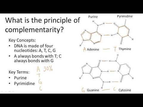 Principle of Complementarity