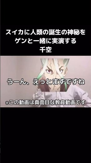 スイカに人類の誕生の神秘をゲンと一緒に実演する千空#ドクターストーン