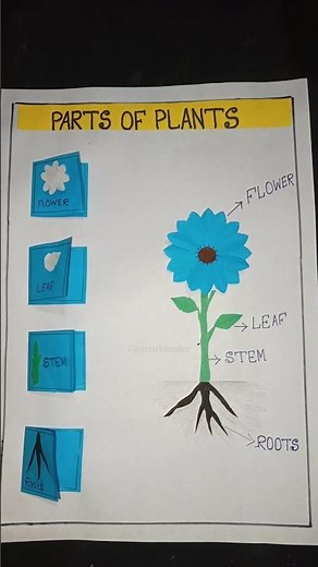 Science TLM for class 6 to 8