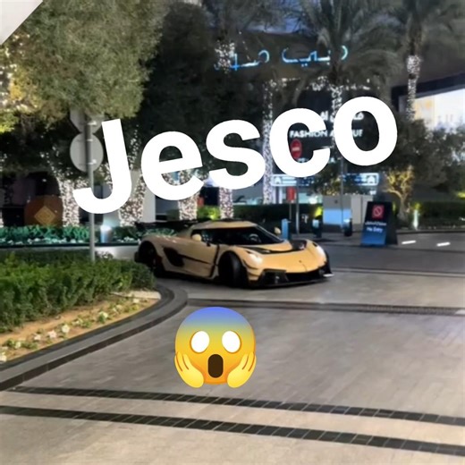 jesco mansorry #ponk #edit4k #mansorry#viral