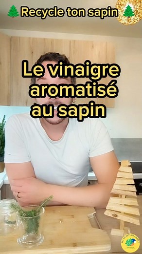 Un ménage qui sent bon Noël 🌲 le vinaigre est très efficace pour : Dégraisser Désodoriser Détartrer et Adoucir le linge ! • • • #ménage #sapin #zerodechet #menagefacile #ecologie #astuce #recette #lessecretsdecharly #noelzerodechet #instagreen | Les Secrets de Charly