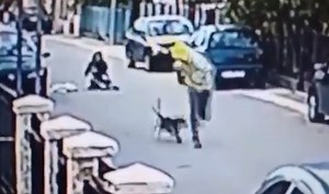 Dog Saves Woman From Attacker, Amazing Video Captured on CCTV Goes Viral