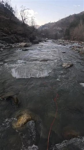 Early spring cast net fishing = pure therapy. Watch the vibe 🌊✨ #relaxing