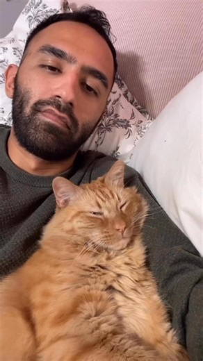 Does your cat enforce Cat Law too, or is it just Kermit? 😼 #catdad #catlovers #cats #gatos #catlife | Javie and Mr. Kermit