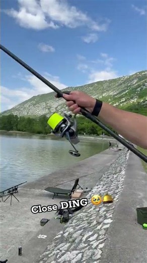 Close ding 🛎️ #carpfishing #casting #surfcasting #short DDAWNG Fishing