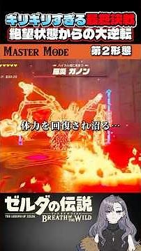 【厄災ガノン直行】四英傑の加護(力)なし・神獣攻撃なし・マスターソードなし・武器枠拡張なしで、厄災ガノン討伐に行った結果 #ブレワイ #ブレスオブザワイルド #マスターモード