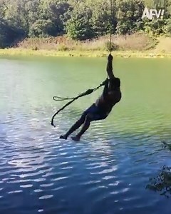 184K views · 1.9K reactions | Where fails turn into laughter! | America's Funniest Home Videos | Facebook