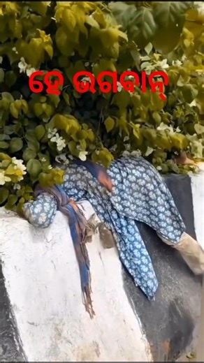 କଥା ରେ ଛନ୍ଦି ଦେଇ ହାଏ ଗଲା ମ ପର ଦେଶୀ #shortsfeed #shorts #sed #shortvideo #song #emotional