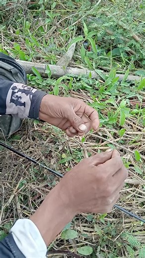 Fishing Adventures: Techniques for Catching Fish