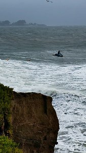 488K views · 5.1K reactions | The Santa Cruz Fire Department Lifeguards are hardcore! They were in the water training at Steamer Lane this morning during insane conditions. They’re obviously ready to react and make rescues no matter the weather. | Native Santa Cruz | Facebook