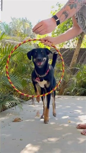 4 weeks of hula hoop training lead to this