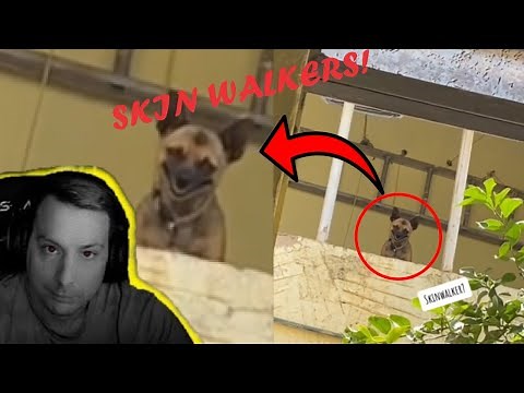 Most Disturbing Animal Skinwalkers Caught On Tape