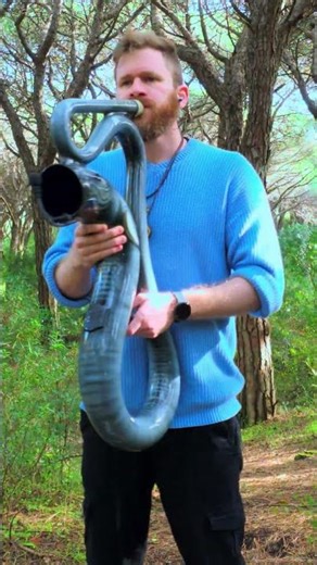 This Didgeridoo Vibration Feels Like Pure Calm #shorts