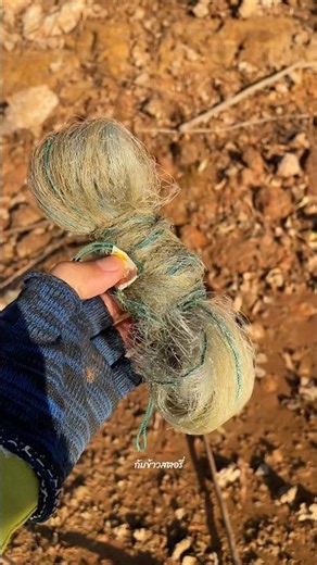 A rectangular net that is used regularly for fishing