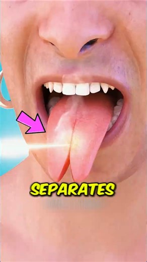 If you ever wondered why some people intentionally split their tongue in half…