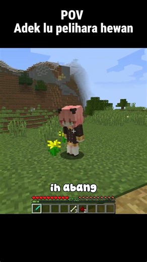 Anya keeps chickens #minecraft