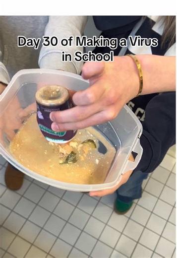 Day 30: New Box #boringatschool #school #virus #virusatschool #arwaves | making viruses at school