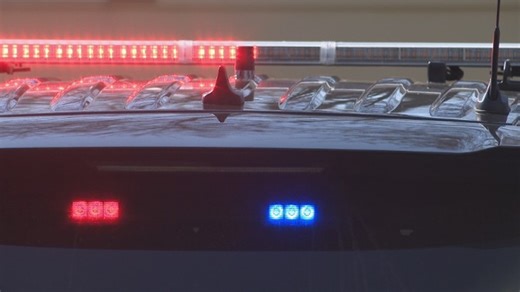 Man in custody after assaulting officers, K9 in Pulaski County