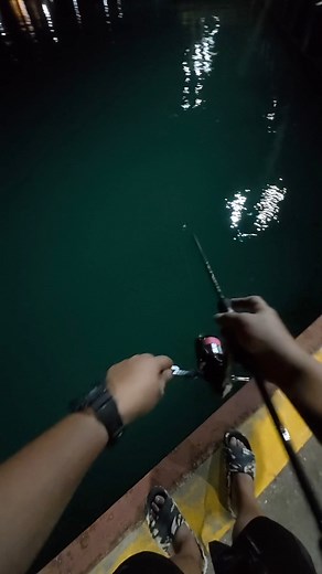 Auto 🪝 #fishing #xbraiddpet #upgv12 #ohlures #lightgamefishing #fishingadventure #fishing #xbraid #fishingaddict #fishinglife #fishingvideos #AGFtackleshop | Arion Gone Fishing