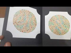 2023 Ishihara's Test For Colour Deficiency 38 Plates Edition Original Book Edition Make Japan