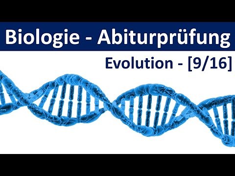 Biologie Abiturprüfung - Evolution - Tipps und Aufgabentypen [Abitur Biologie, 9/16]