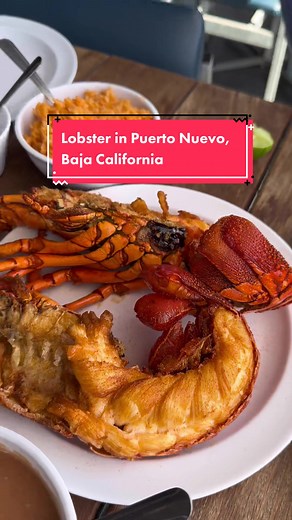 Puerto Nuevo, Mexico’s lobster village🦞🫶🏼 #lesbiancouple #lesbiansoftiktok #puertonuevomexico #puertonuevo #wifeandwife #queertravel #marriedlife #mexicofood