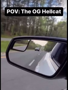 4K views · 3.1K reactions | She’s a SCREAMER : @svt_myers | CobrasOnly | Facebook