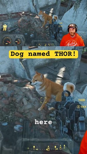 Dog of Thunder! #fallout4 #gaming