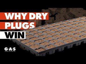 Eazy Plug Propagation Explained | Product Focus