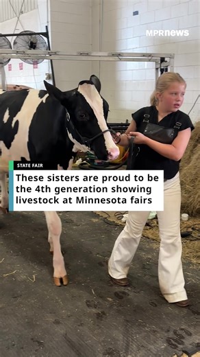 The Schmidt family is no stranger to farm animals. The three young sisters — who are the fourth generation of the family to show livestock — are showing pigs, sheep and cattle at the Minnesota State Fair this year. The experience comes from years of spending weekends at shows as well as early mornings and late nights tending to the animals, and having the confidence to mess up but try again. Over the years, 16-year-old Kate Schmidt said she’s learned more about herself and what drives her to kee