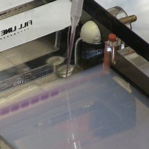 비디오: DamID-seq: 아데닌 메틸화 DNA 단편의 고처리량 염기서열분석에 의한 단백질-DNA 상호 작용의 게놈 전체 매핑