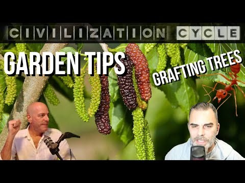 Garden Talk - Hog Panels, Mulberries, Figs, Varmints, FIRE ANTS | Civ Cycle CLIPS
