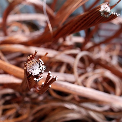 Sustainable Business