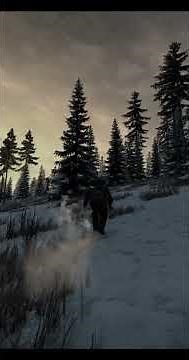 How to TAME a BEAR in DayZ!