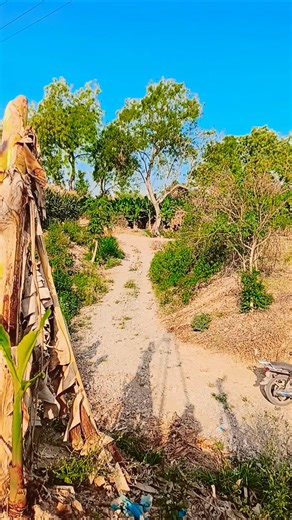 मुझे निंद ना आए | Mujhe Nind Na Aaye | #shortsfeed #trending #shorts #song