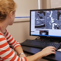 Video: Quantitative Micro-CT Analysis of Aortopathy in a Mouse Model of β-aminopropionitrile-induced Aortic Aneurysm and Dissection