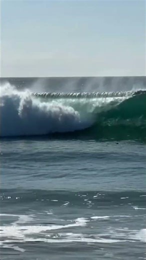 Surfer Girl Vlog: SG Reveals the Secret to Time Travel