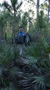 In an unprecedented discovery, Zoo Miami’s own Head of Conservation & Research, Dr. Frank Ridgley, has identified what appears to be a brand-new species, found not in the waters of Biscayne Bay, but right here in the Pine Rocklands surrounding Zoo Miami! While conducting research for the Miami cave crayfish, Dr. Ridgley came across something highly unusual. These endangered crayfish live deep in the aquifer under the Pine Rocklands and can only be accessed by wells, solution holes, or deep fissu