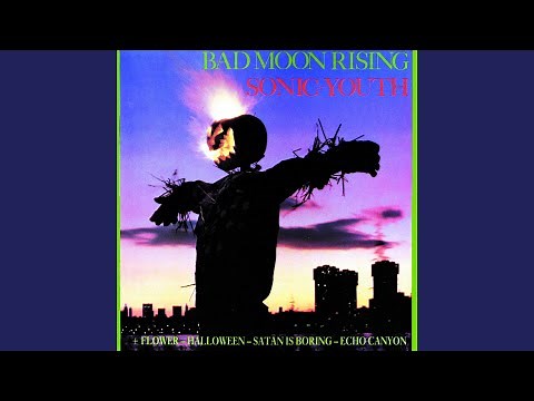 Death Valley '69 (W/ Lydia Lunch)